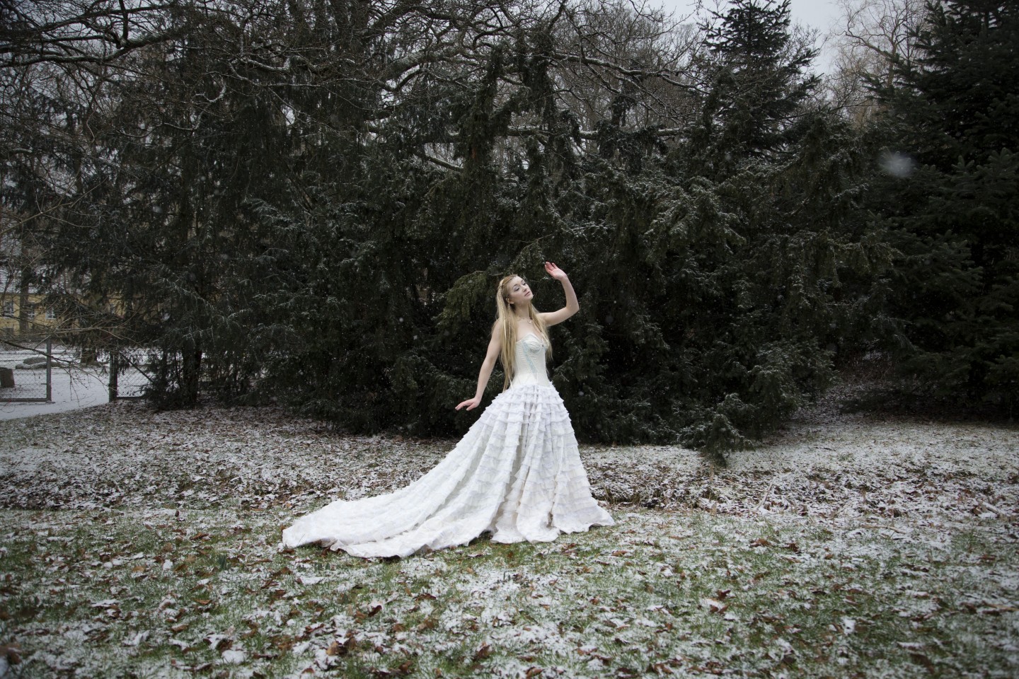 Forest Fairy