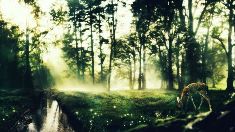 Nature